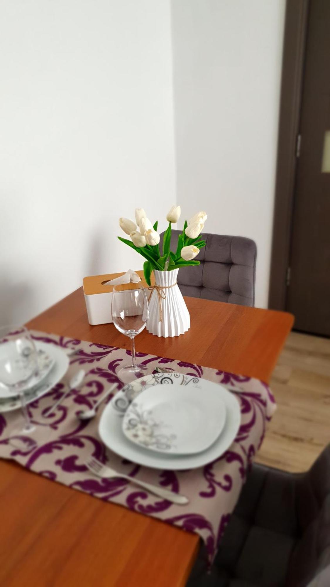 Apartment Andrei