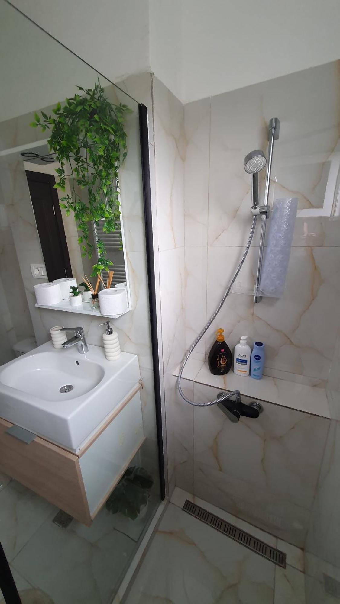 Apartment Andrei Brasov